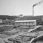 Pasvik Timber in Jakobsnes 1931.JPG